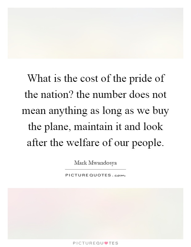 What is the cost of the pride of the nation? the number does not mean anything as long as we buy the plane, maintain it and look after the welfare of our people Picture Quote #1