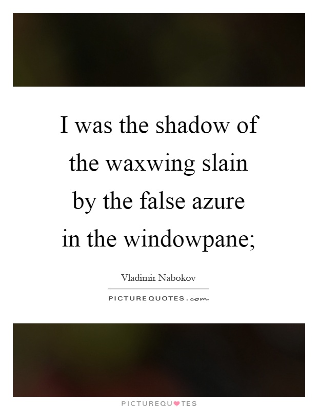 I was the shadow of the waxwing slain by the false azure in the windowpane; Picture Quote #1