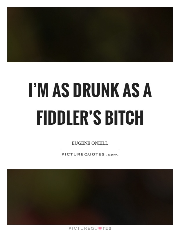 I'm as drunk as a fiddler's bitch Picture Quote #1