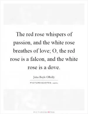 The red rose whispers of passion, and the white rose breathes of love; O, the red rose is a falcon, and the white rose is a dove Picture Quote #1