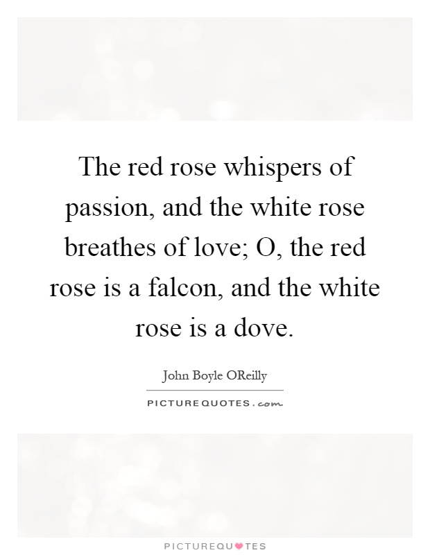 The red rose whispers of passion, and the white rose breathes of love; O, the red rose is a falcon, and the white rose is a dove Picture Quote #1