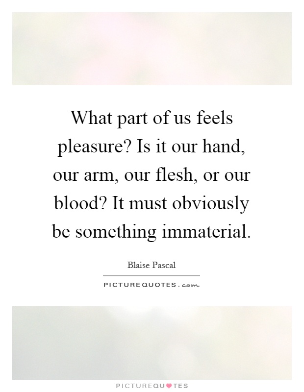 What part of us feels pleasure? Is it our hand, our arm, our flesh, or our blood? It must obviously be something immaterial Picture Quote #1