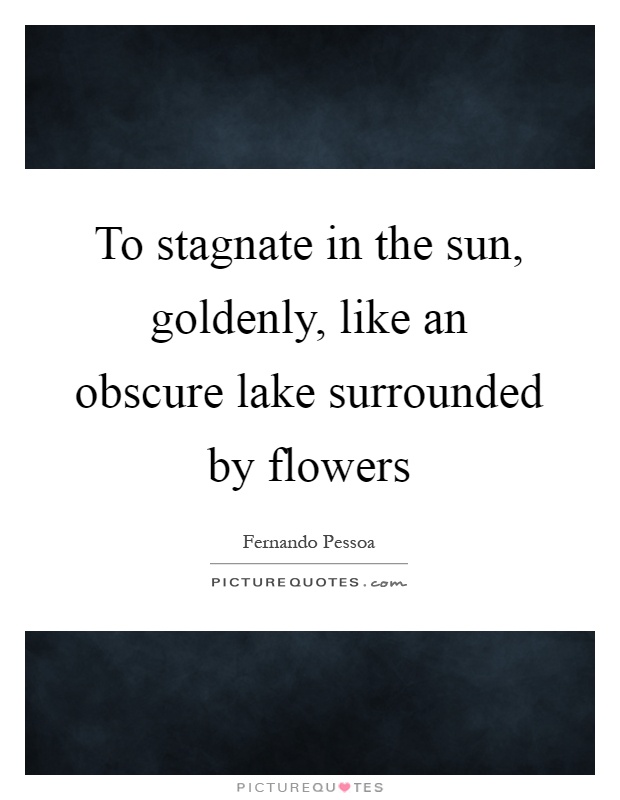 To stagnate in the sun, goldenly, like an obscure lake surrounded by flowers Picture Quote #1