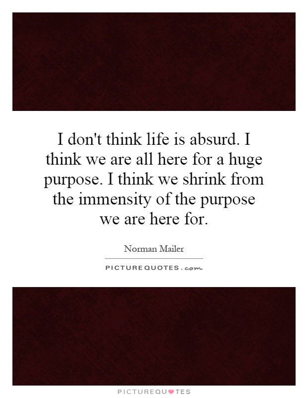 I don't think life is absurd. I think we are all here for a huge purpose. I think we shrink from the immensity of the purpose we are here for Picture Quote #1