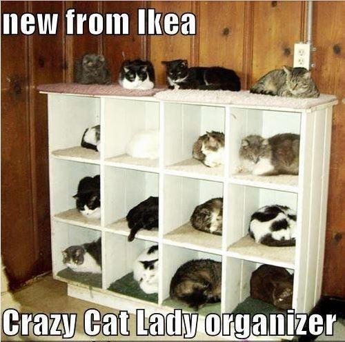 New from Ikea - crazy cat lady organizer Picture Quote #1