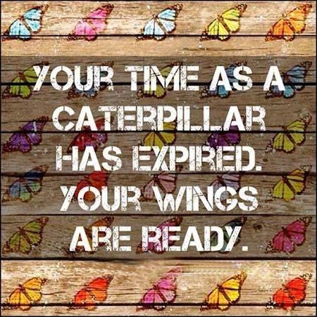 Your time as a caterpillar has expired. Your wings are ready Picture Quote #1