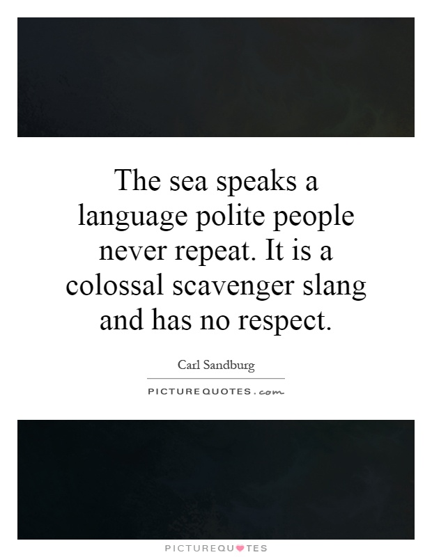 The sea speaks a language polite people never repeat. It is a colossal scavenger slang and has no respect Picture Quote #1