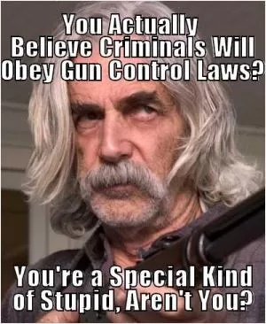 You actually believe criminals obey gun control laws? You're a special kind of stupid aren't you? Picture Quote #1