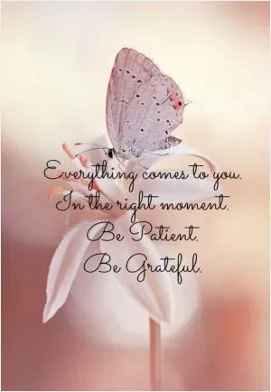 Everything comes to you in the right moment. Be patient. Be grateful Picture Quote #1