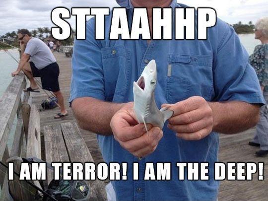 Sttaahhp. I am terror! I am the deep! Picture Quote #1