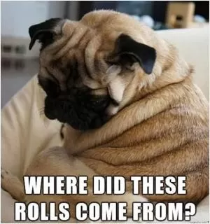Where did these rolls come from? Picture Quote #1