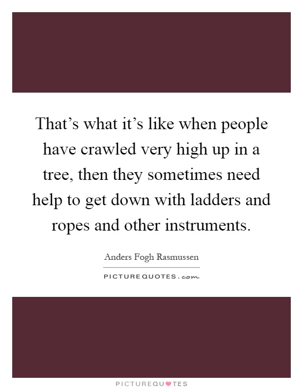That's what it's like when people have crawled very high up in a tree, then they sometimes need help to get down with ladders and ropes and other instruments Picture Quote #1