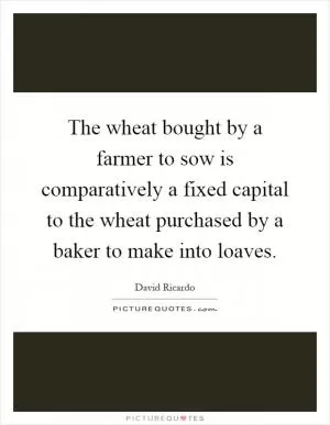 The wheat bought by a farmer to sow is comparatively a fixed capital to the wheat purchased by a baker to make into loaves Picture Quote #1