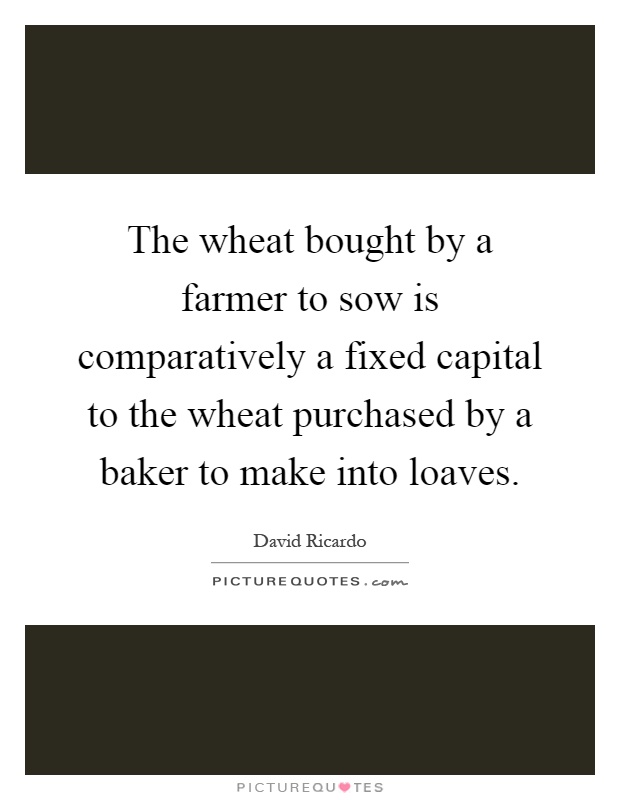 The wheat bought by a farmer to sow is comparatively a fixed capital to the wheat purchased by a baker to make into loaves Picture Quote #1