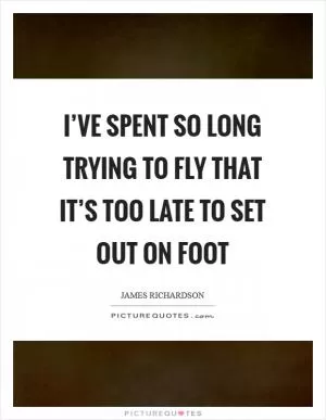 I’ve spent so long trying to fly that it’s too late to set out on foot Picture Quote #1