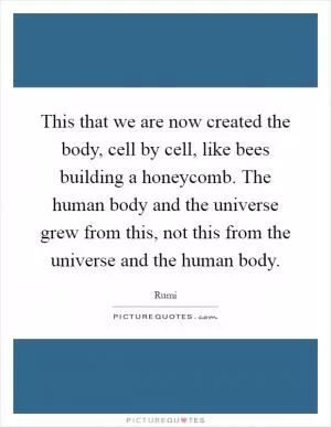 This that we are now created the body, cell by cell, like bees building a honeycomb. The human body and the universe grew from this, not this from the universe and the human body Picture Quote #1