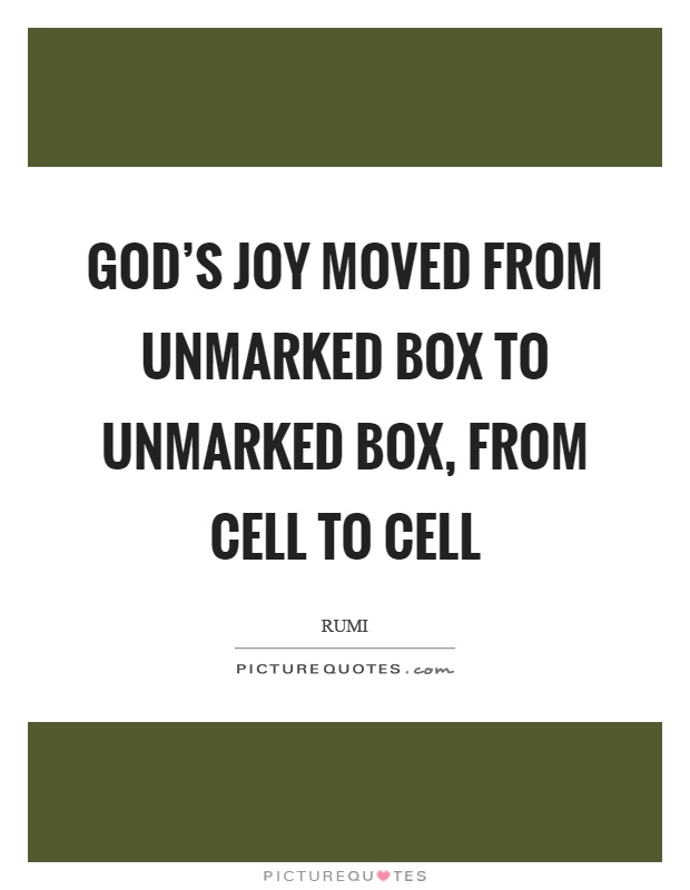 God's joy moved from unmarked box to unmarked box, from cell to cell Picture Quote #1
