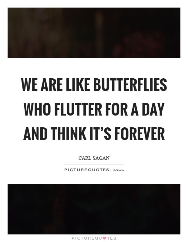 We are like butterflies who flutter for a day and think it's forever Picture Quote #1