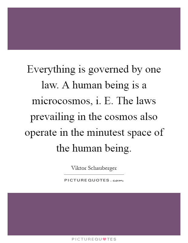 Everything is governed by one law. A human being is a microcosmos, i. E. The laws prevailing in the cosmos also operate in the minutest space of the human being Picture Quote #1
