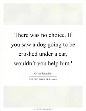 There was no choice. If you saw a dog going to be crushed under a car, wouldn’t you help him? Picture Quote #1