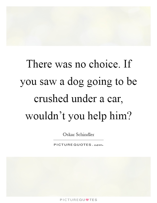 There was no choice. If you saw a dog going to be crushed under a car, wouldn't you help him? Picture Quote #1