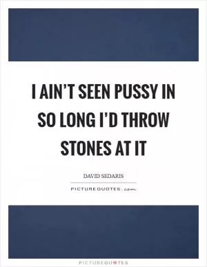 I ain’t seen pussy in so long I’d throw stones at it Picture Quote #1