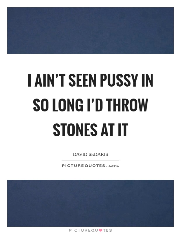 I ain't seen pussy in so long I'd throw stones at it Picture Quote #1