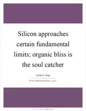 Silicon approaches certain fundamental limits; organic bliss is the soul catcher Picture Quote #1
