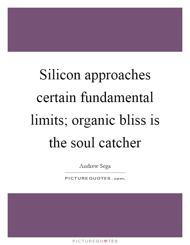 Silicon approaches certain fundamental limits; organic bliss is the soul catcher Picture Quote #1