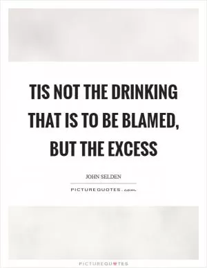 Tis not the drinking that is to be blamed, but the excess Picture Quote #1