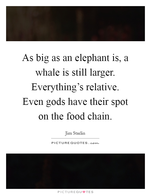 As big as an elephant is, a whale is still larger. Everything's relative. Even gods have their spot on the food chain Picture Quote #1