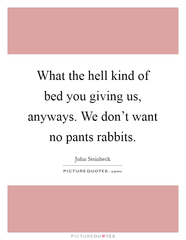 What the hell kind of bed you giving us, anyways. We don't want no pants rabbits Picture Quote #1
