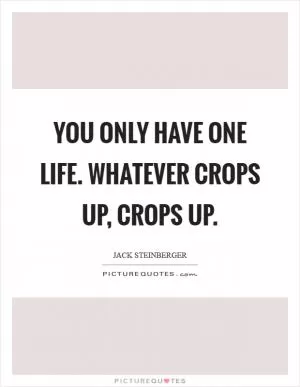 You only have one life. Whatever crops up, crops up Picture Quote #1