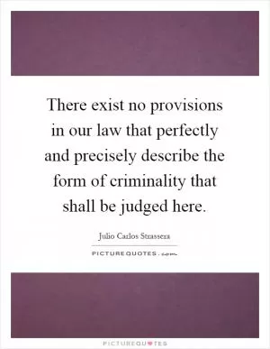 There exist no provisions in our law that perfectly and precisely describe the form of criminality that shall be judged here Picture Quote #1