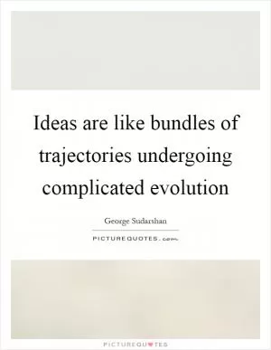 Ideas are like bundles of trajectories undergoing complicated evolution Picture Quote #1