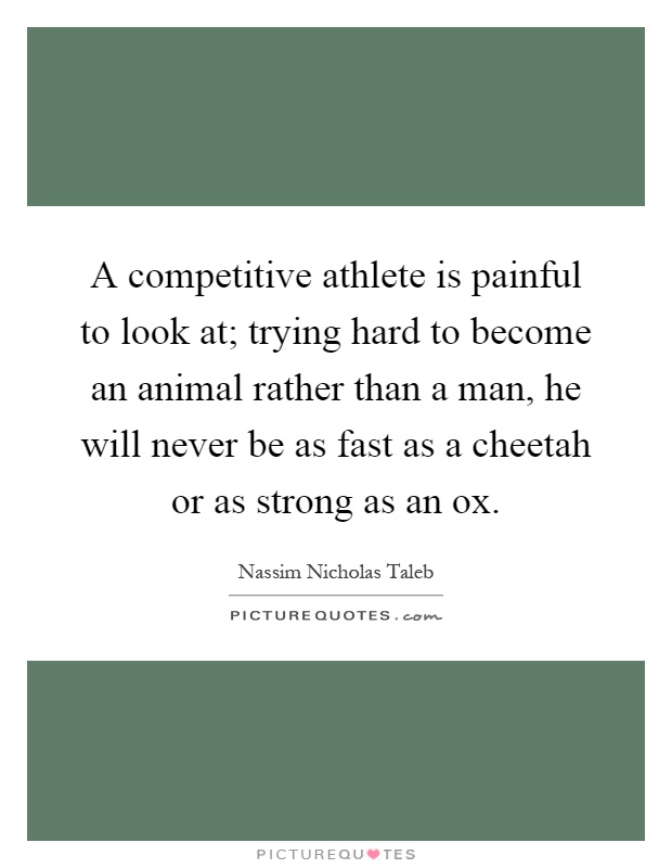 A competitive athlete is painful to look at; trying hard to become an animal rather than a man, he will never be as fast as a cheetah or as strong as an ox Picture Quote #1