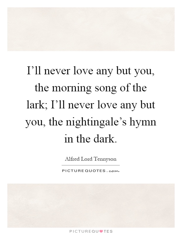 I'll never love any but you, the morning song of the lark; I'll never love any but you, the nightingale's hymn in the dark Picture Quote #1