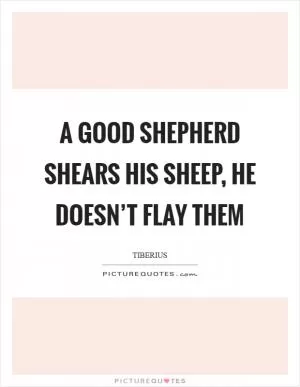 A good shepherd shears his sheep, he doesn’t flay them Picture Quote #1