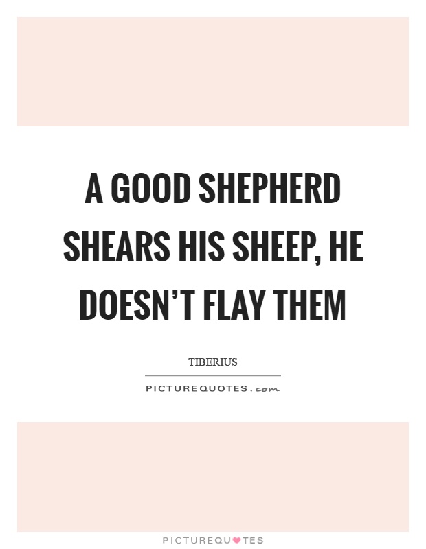 A good shepherd shears his sheep, he doesn't flay them Picture Quote #1