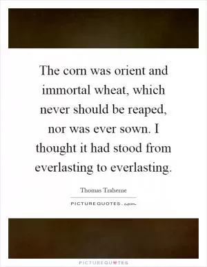 The corn was orient and immortal wheat, which never should be reaped, nor was ever sown. I thought it had stood from everlasting to everlasting Picture Quote #1