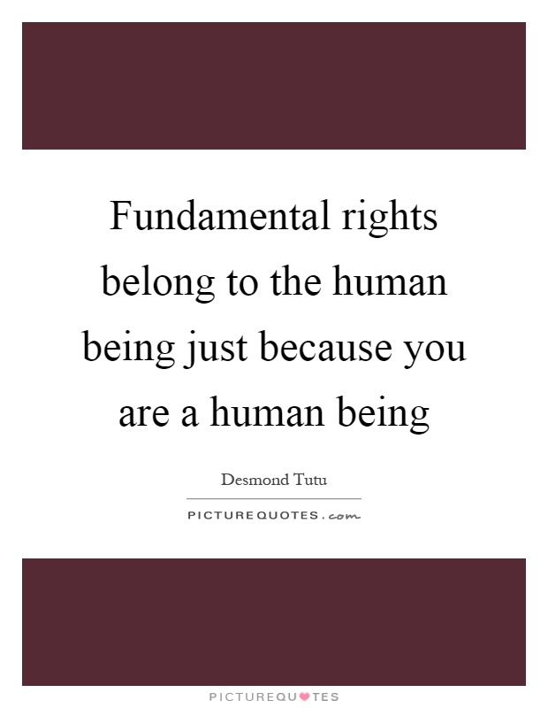Fundamental rights belong to the human being just because you are a human being Picture Quote #1