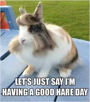 Let’s just say I’m having a good hare day Picture Quote #1