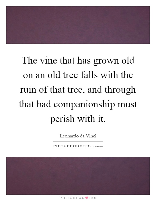 The vine that has grown old on an old tree falls with the ruin of that tree, and through that bad companionship must perish with it Picture Quote #1