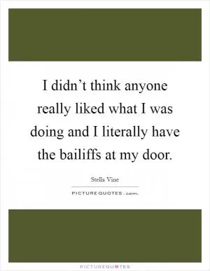 I didn’t think anyone really liked what I was doing and I literally have the bailiffs at my door Picture Quote #1