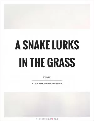 A snake lurks in the grass Picture Quote #1