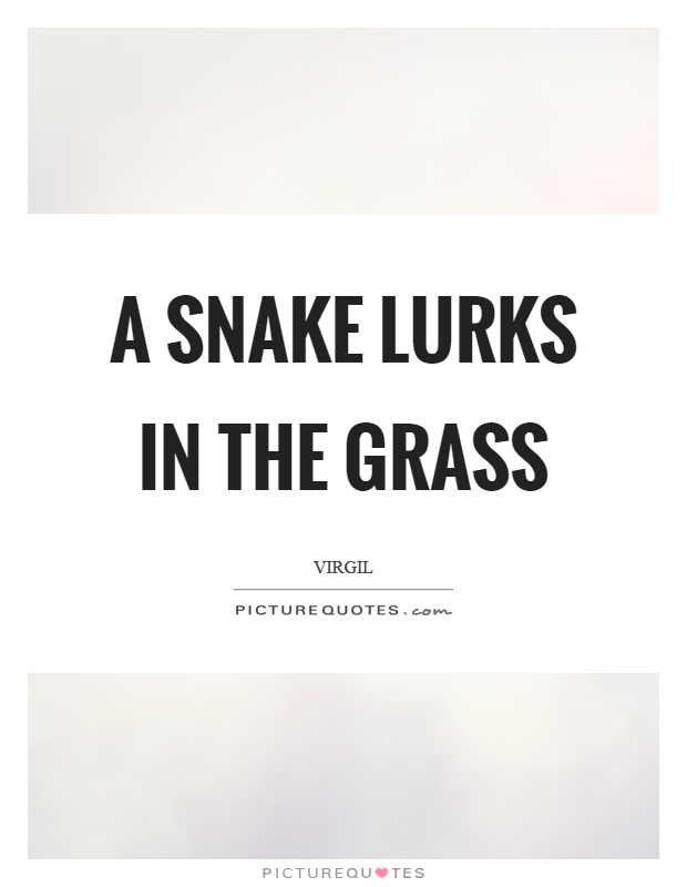 A snake lurks in the grass Picture Quote #1