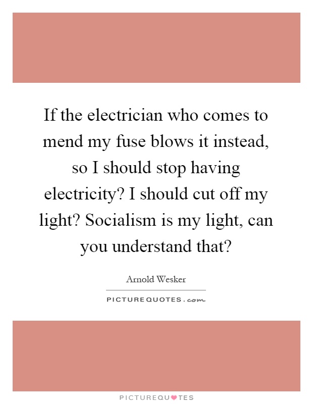 If the electrician who comes to mend my fuse blows it instead, so I should stop having electricity? I should cut off my light? Socialism is my light, can you understand that? Picture Quote #1