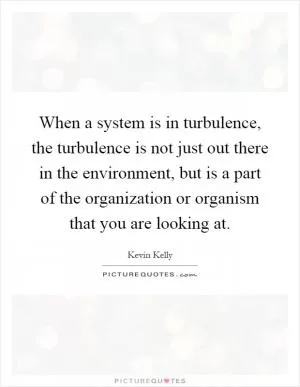 When a system is in turbulence, the turbulence is not just out there in the environment, but is a part of the organization or organism that you are looking at Picture Quote #1