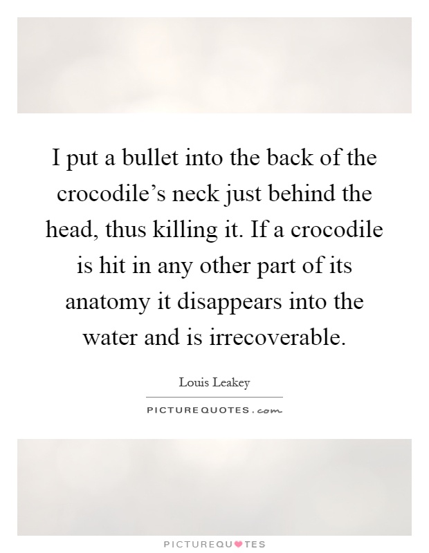 I put a bullet into the back of the crocodile's neck just behind the head, thus killing it. If a crocodile is hit in any other part of its anatomy it disappears into the water and is irrecoverable Picture Quote #1