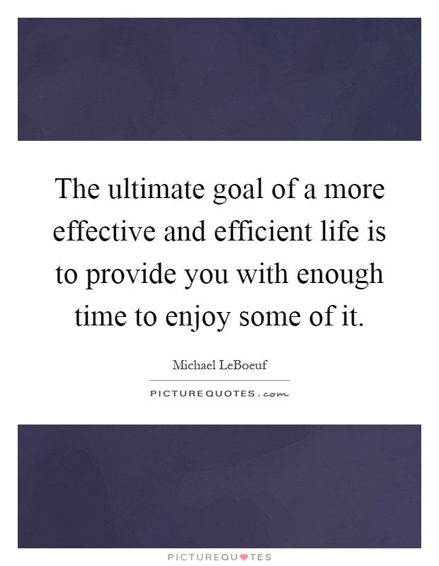 The ultimate goal of a more effective and efficient life is to provide you with enough time to enjoy some of it Picture Quote #1